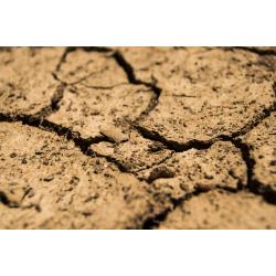 "Così il riscaldamento globale impoverirà gli Stati Uniti" "Così il riscaldamento globale impoverirà gli Stati Uniti"